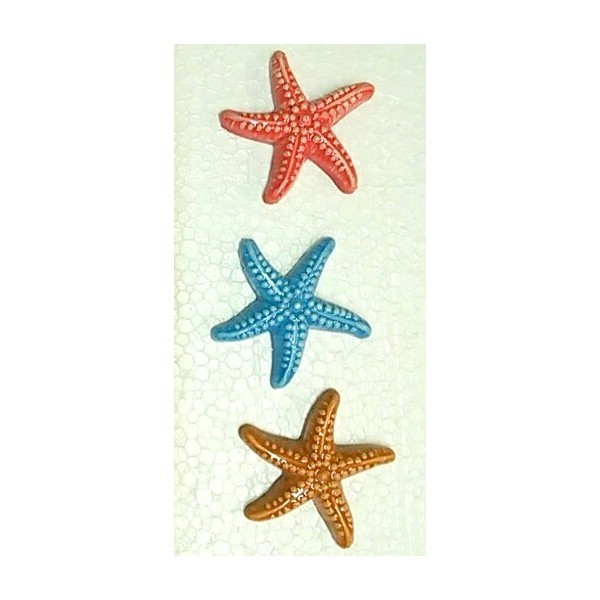 Set  3 Stelle marine con calamiti